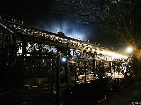 Dramatosche Szenen nach Affenhausbrand in der Silvesternacht