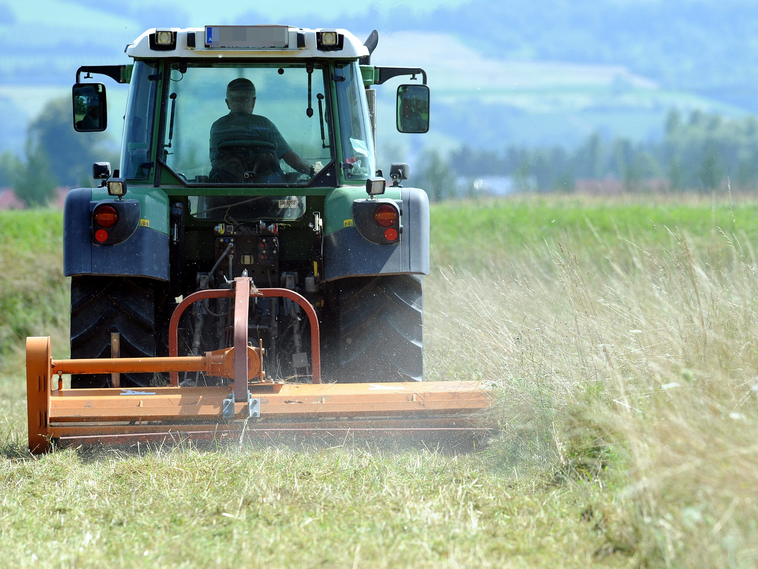 Das Regierungsprogramm von Türkis-Grün zum Thema Landwirtschaft.