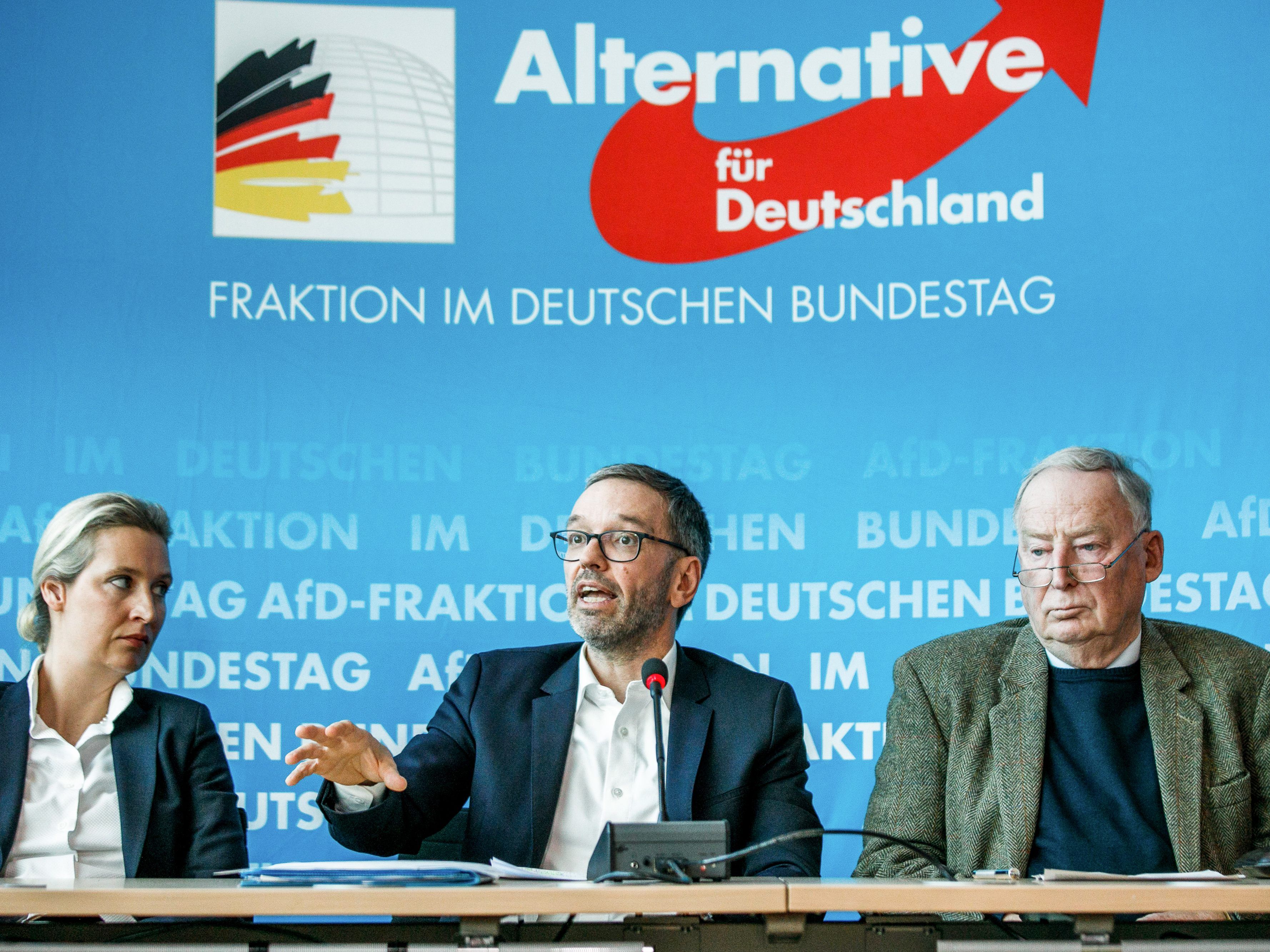 Kickl intensiviert die Zusammenarbeit mit der AfD.
