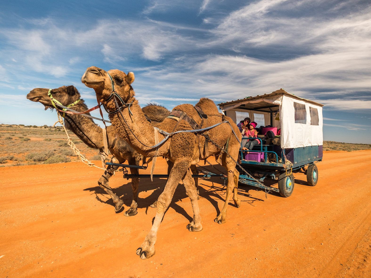 Mit Kamel, Kind und Kegel reiste die Familie Blum durch Australien.