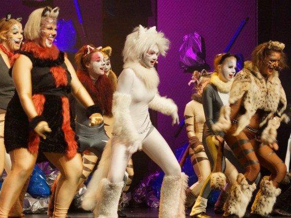 „Cats“, West Austrian Musical Company, 2014