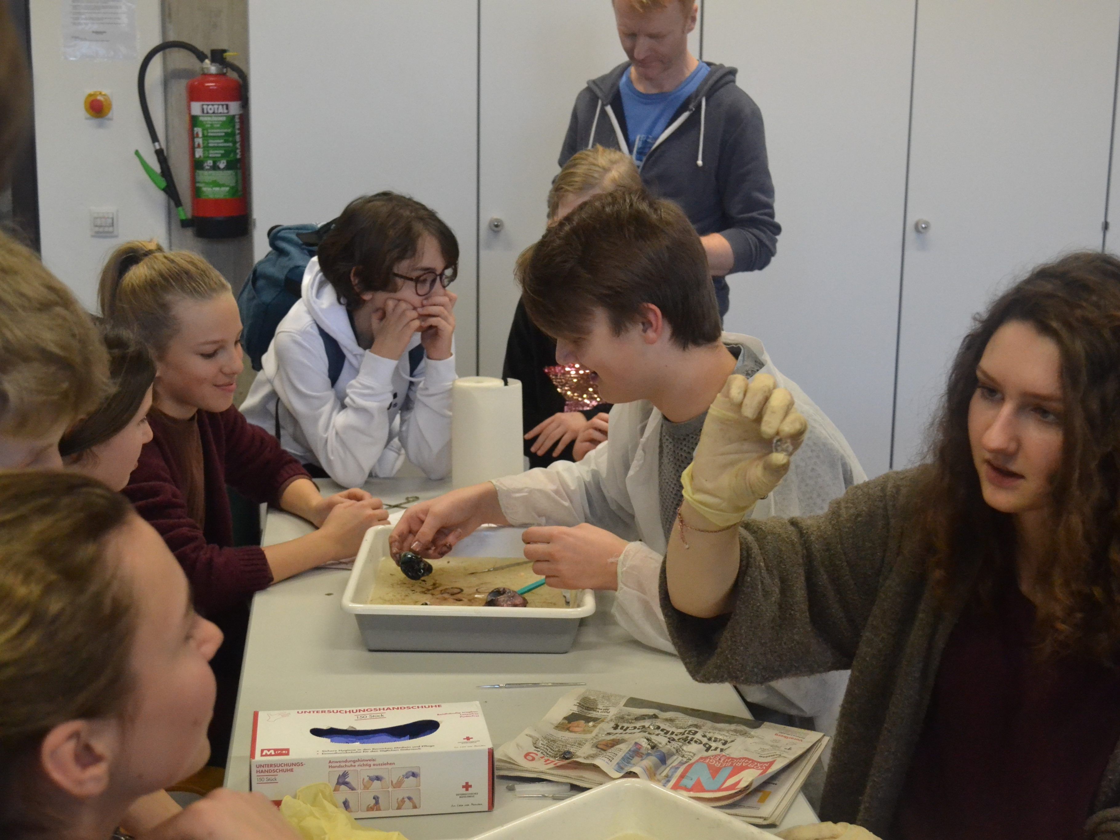 Vor den staunenden Augen der Besucher zeigten die Gymnasiasten spannende Sezierversuche.