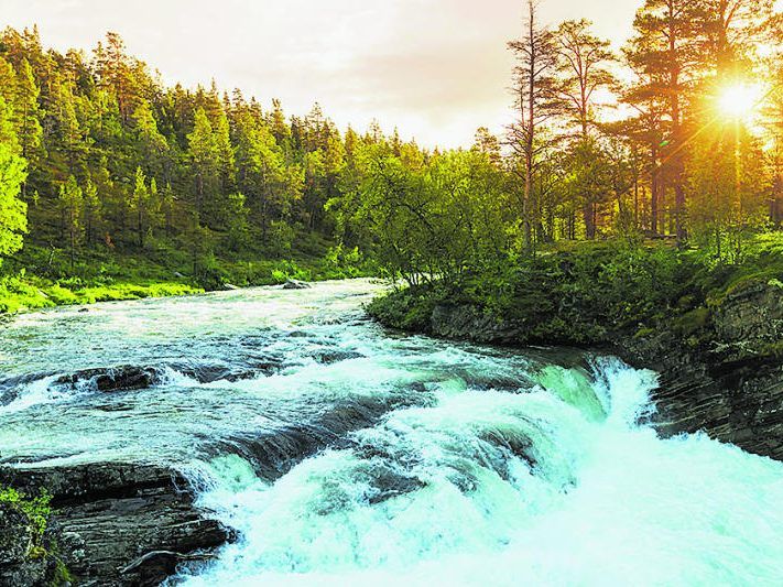 Das Leben gleicht dem Fluss des Wassers: Einmal plätschert es dahin, das andere Mal müssen Hindernisse überwunden werden.