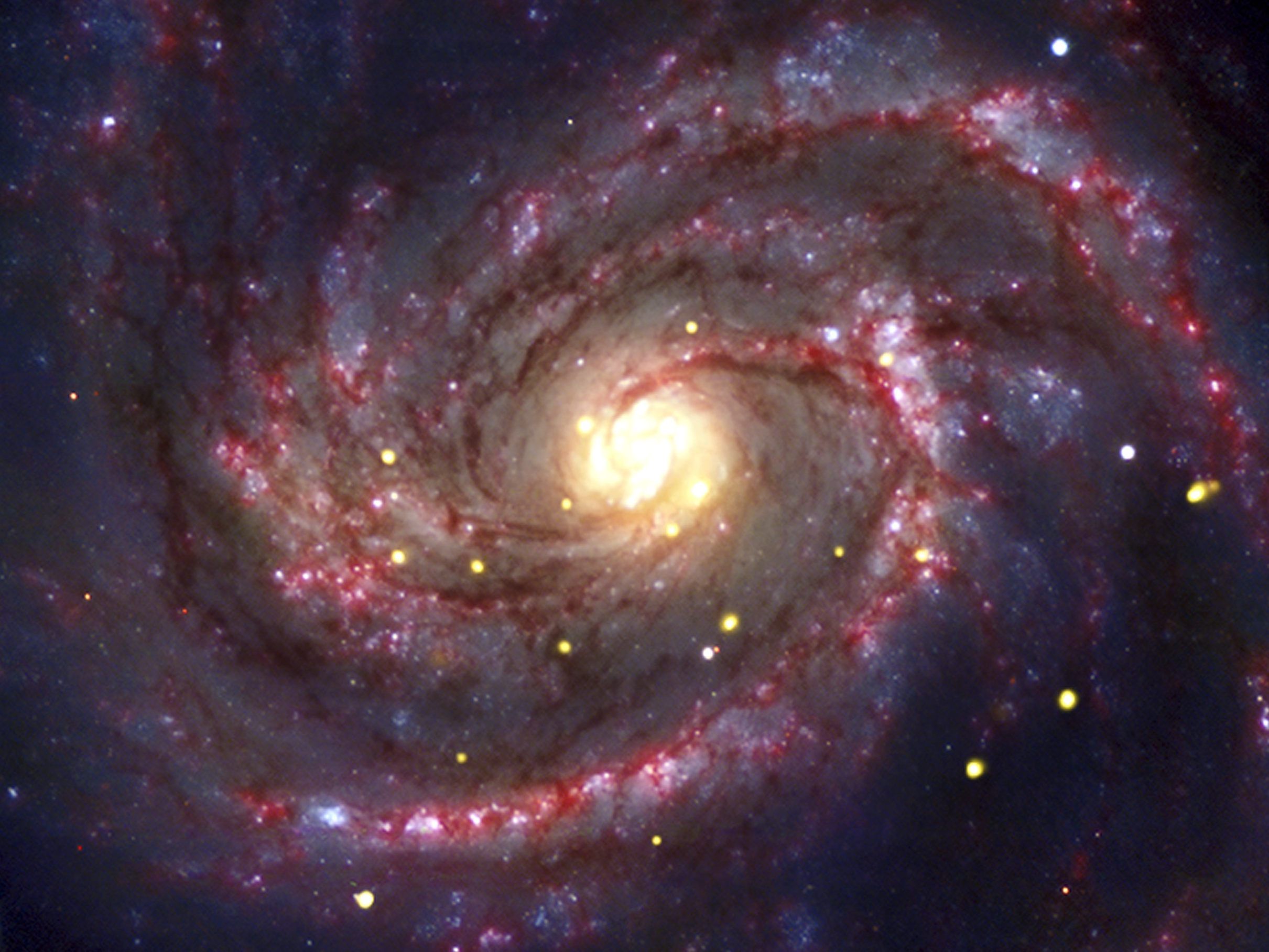 Eine Supernova von Beteigeuze wäre auf der Erde deutlich zu sehen. Eine Supernova von Beteigeuze wäre auf der Erde deutlich zu sehen.