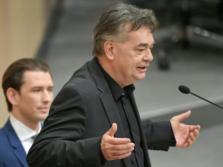 Werner Kogler lobte seine Minister über den grünen Klee Werner Kogler lobte seine Minister über den grünen Klee
