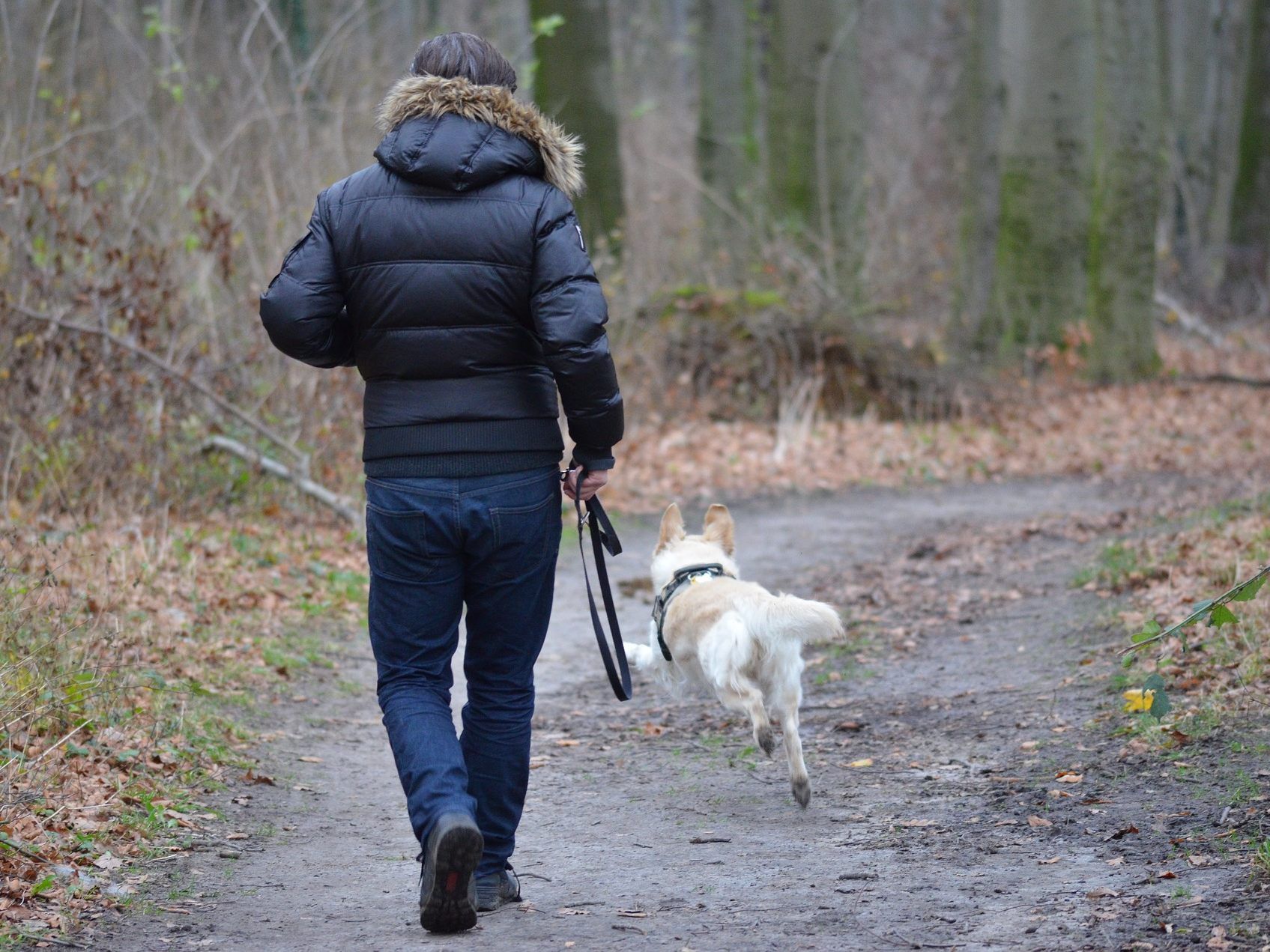 Viele Hundebesitzer machen beim Gassigehen Fehler.