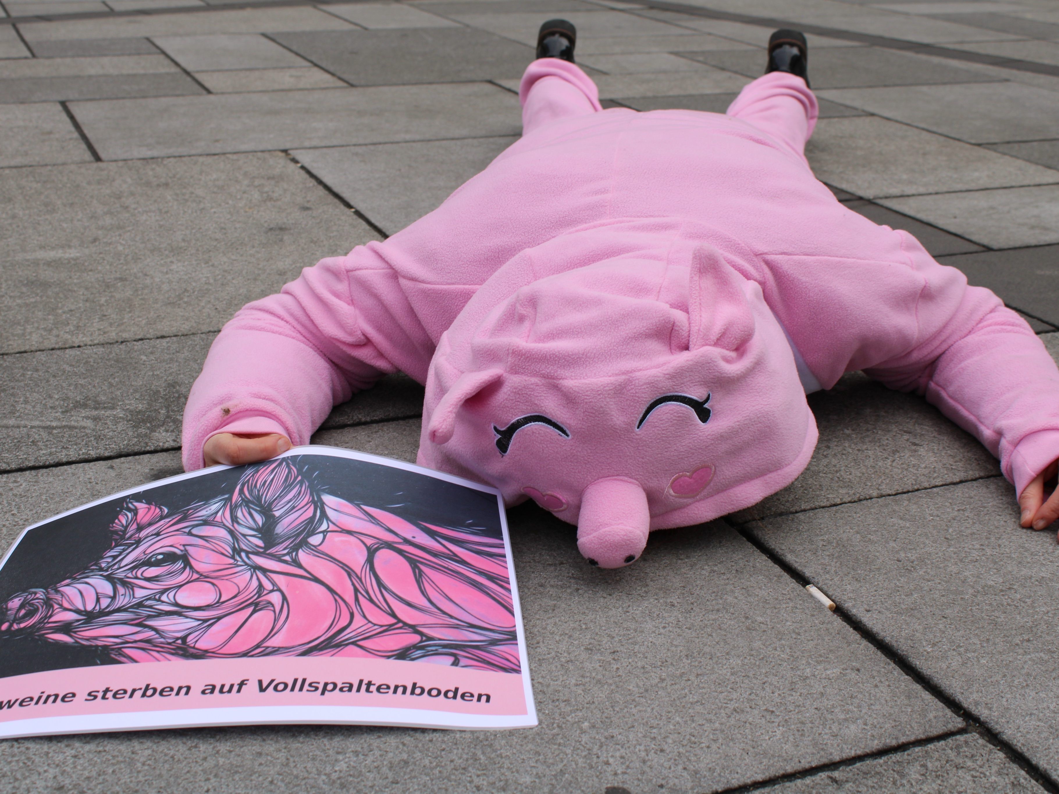 Tierschutzaktivisten demonstrierten heute am Stephansplatz.