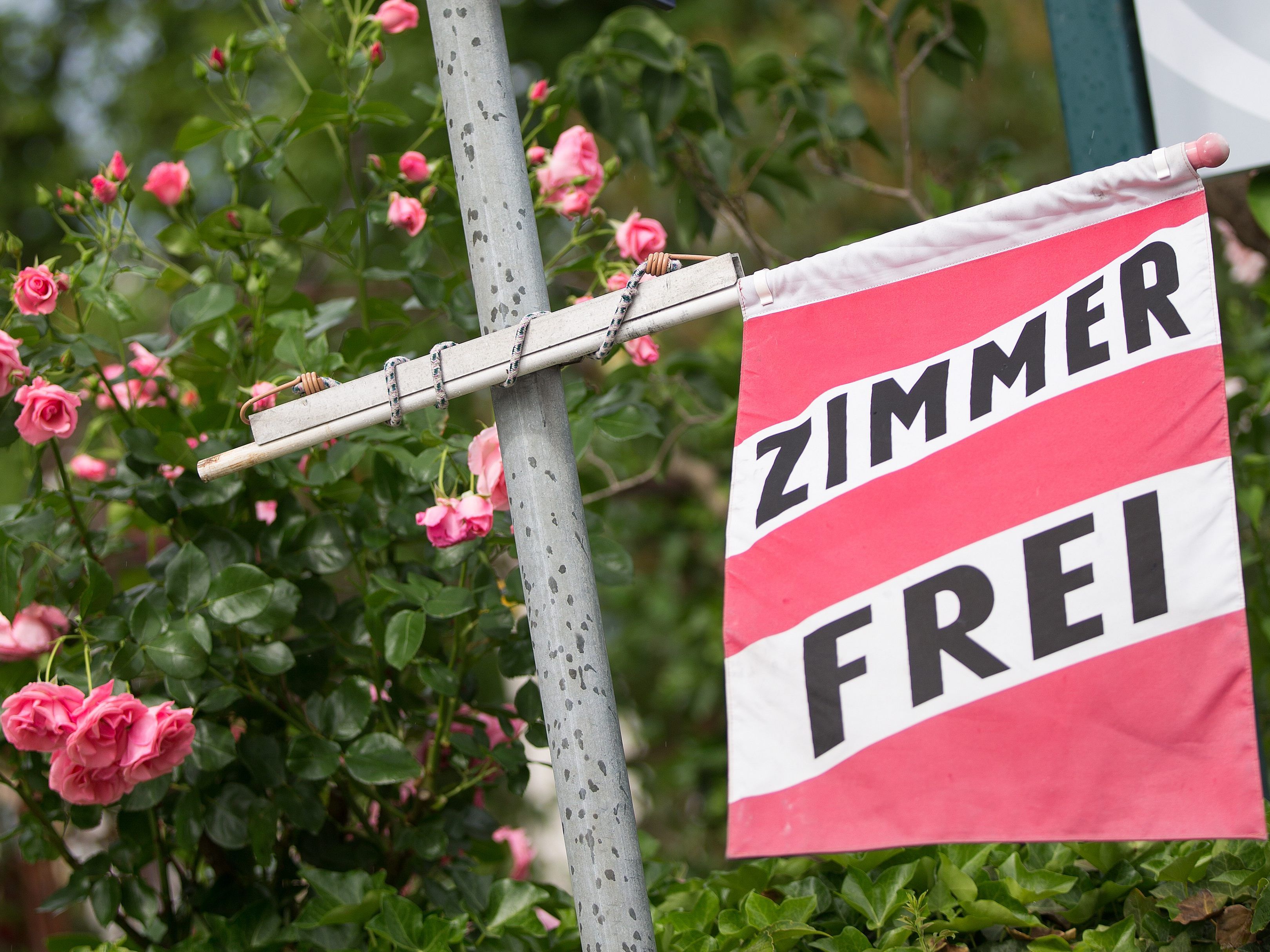 2019 konnte erstmals die 150 Millionen-Marke geknackt werden. 2019 konnte erstmals die 150 Millionen-Marke geknackt werden.