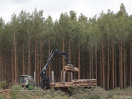 Eilanträge der Umweltschützer wurden abgewiesen