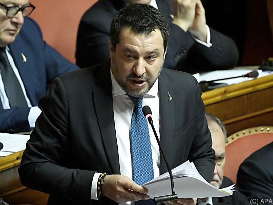 Kritik an Türkis-Grün in Österreich