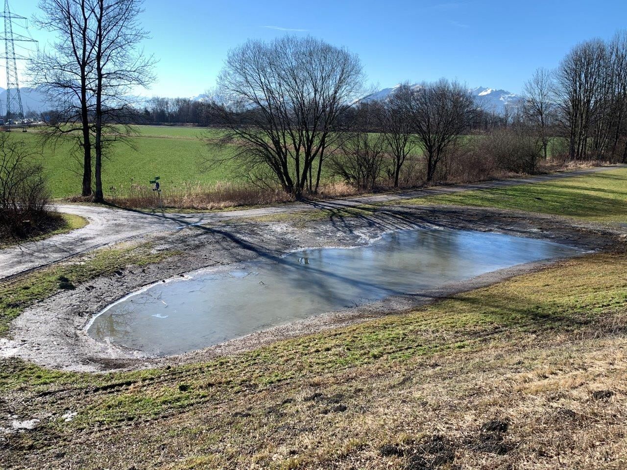 Die Feuchtbiotope an der Seelache haben sich durch die Regenfälle der letzten Wochen mit Wasser gefüllt und erwarten die Rückkehr der Amphibien aus ihren Überwinterungsverstecken. Die Feuchtbiotope an der Seelache haben sich durch die Regenfälle der letzten Wochen mit Wasser gefüllt und erwarten die Rückkehr der Amphibien aus ihren Überwinterungsverstecken.