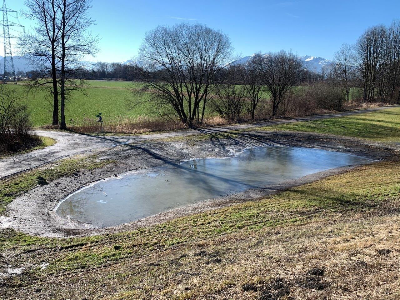 Die Feuchtbiotope an der Seelache haben sich durch die Regenfälle der letzten Wochen mit Wasser gefüllt und erwarten die Rückkehr der Amphibien aus ihren Überwinterungsverstecken.