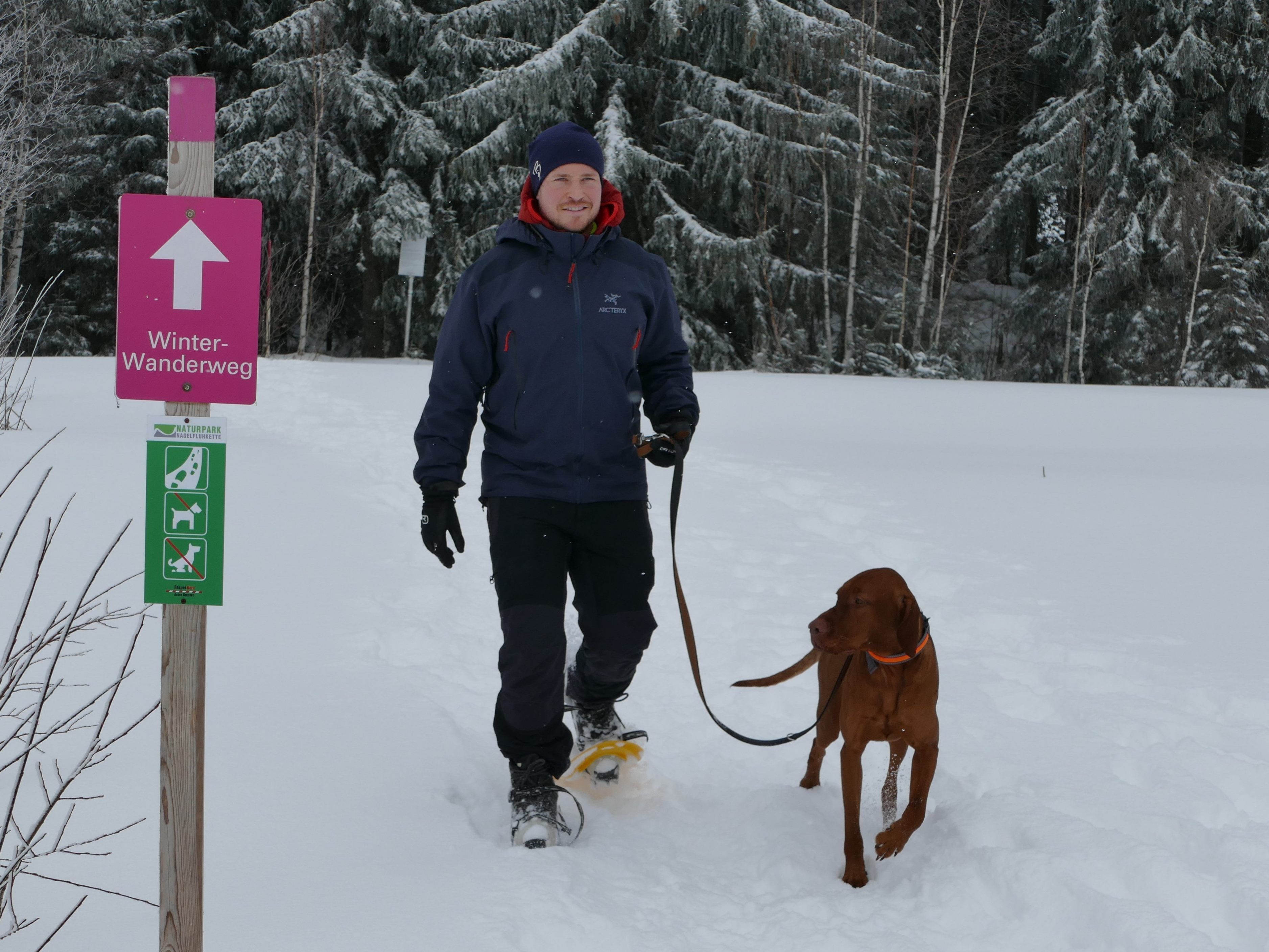 Leider nicht immer der Fall: Schneeschuhwanderer mit angeleintem Hund auf der markierten Route.