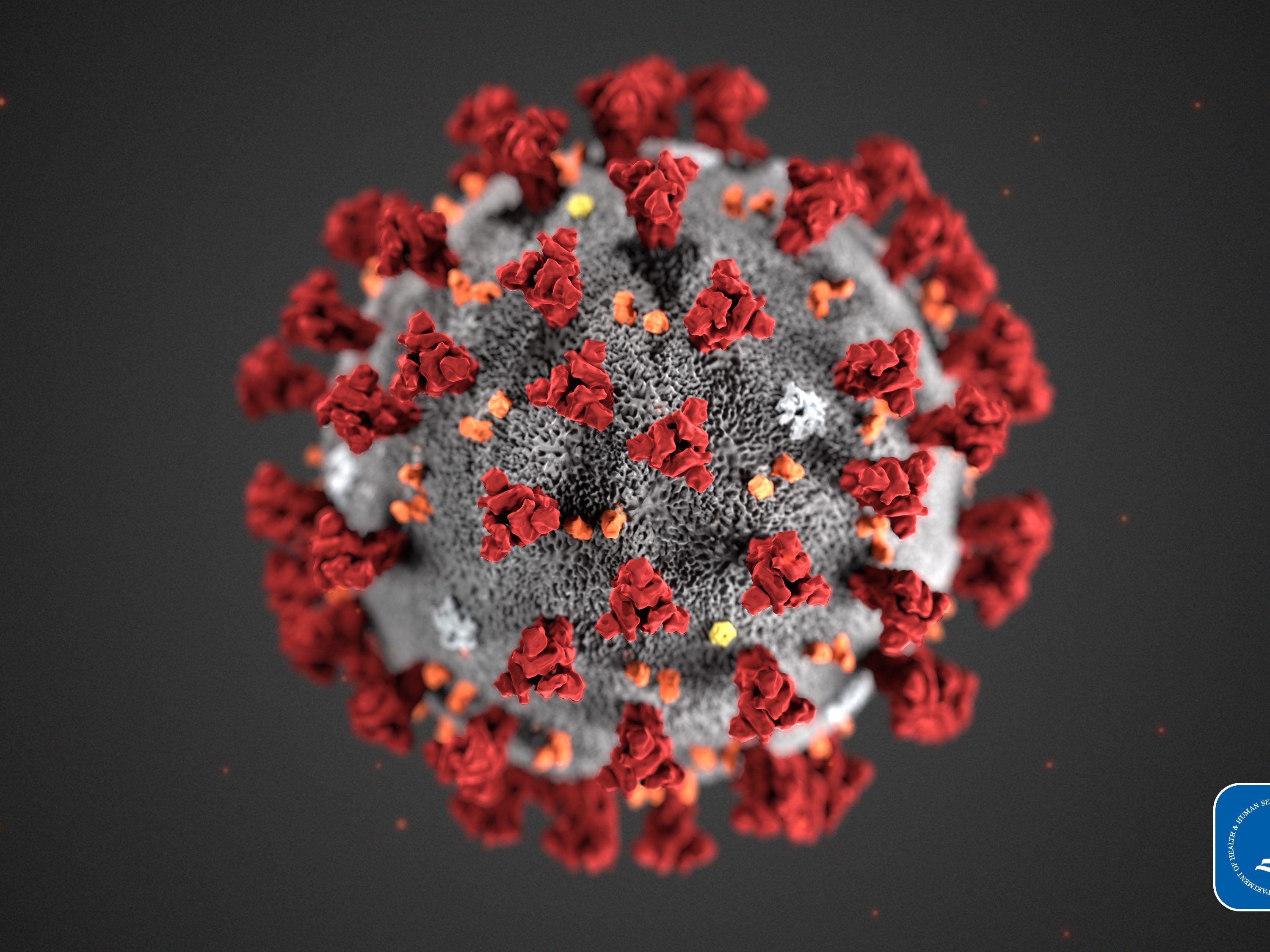 Das neue Virus 2019-nCoV hält die Welt in Atem.