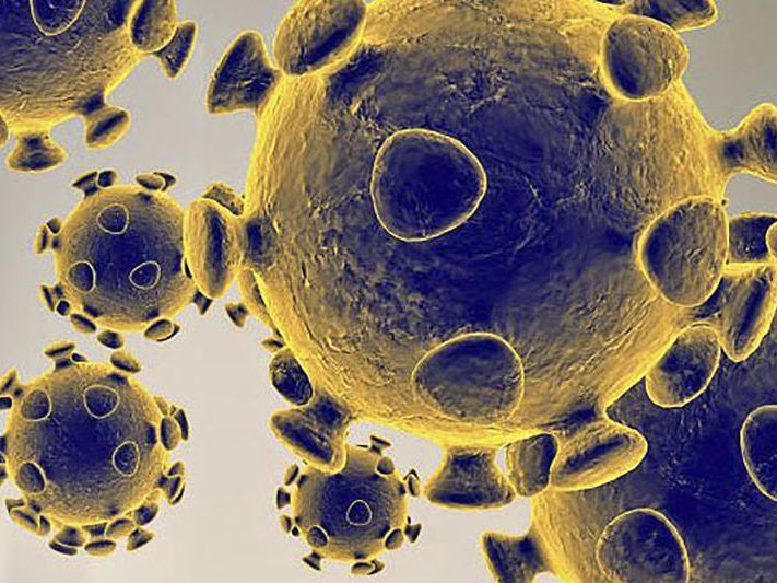 So schaut das Coronavirus unter dem Mikroskop aus