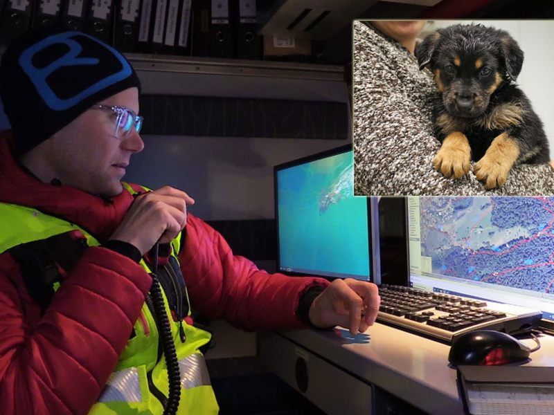 Beim Hund auf diesem Foto handelt sich um ein Symbolbild Beim Hund auf diesem Foto handelt sich um ein Symbolbild