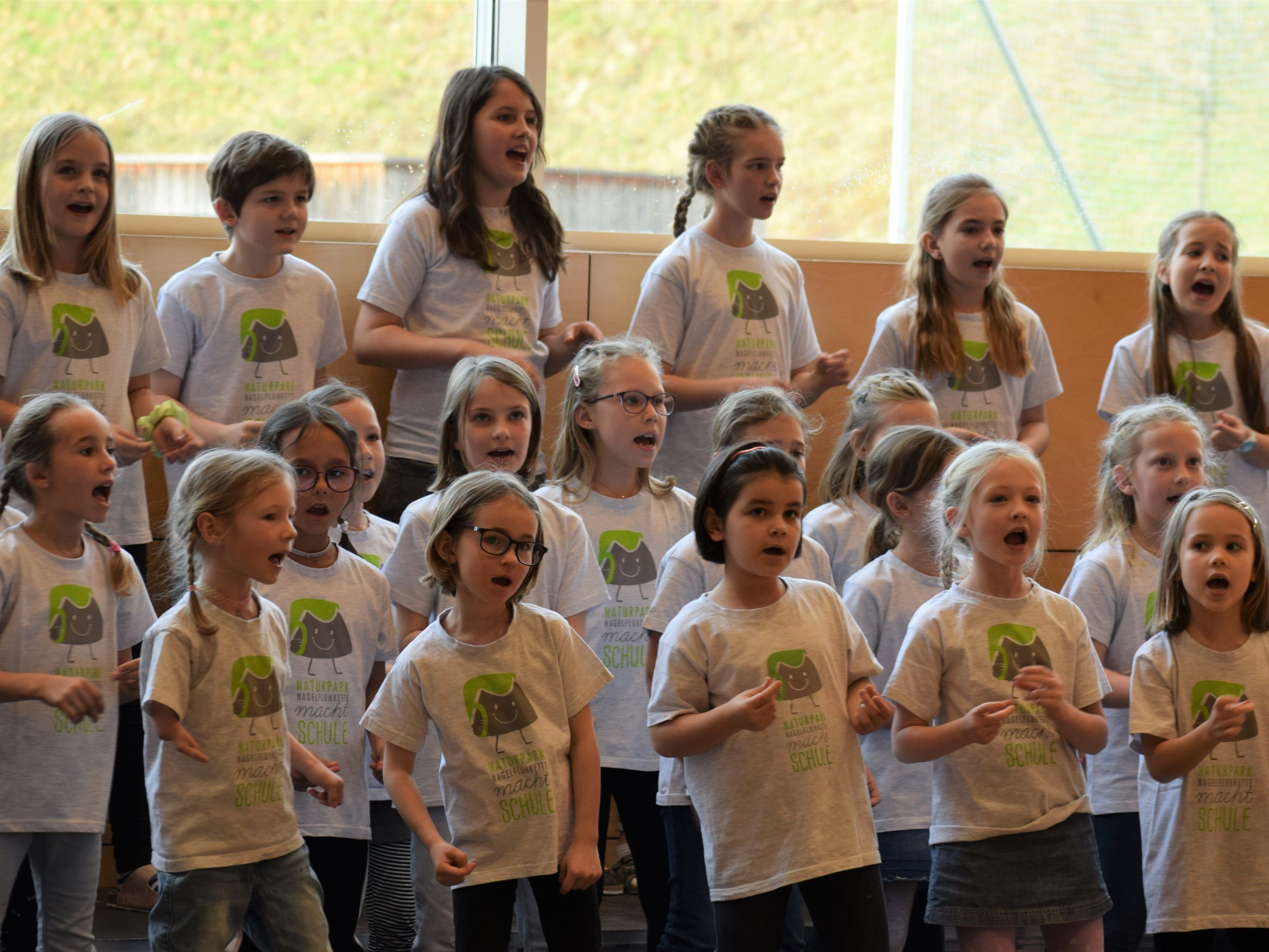 Die Freude am Singen war bei den teilnehmenden Chören förmlich spürbar. Die Freude am Singen war bei den teilnehmenden Chören förmlich spürbar.