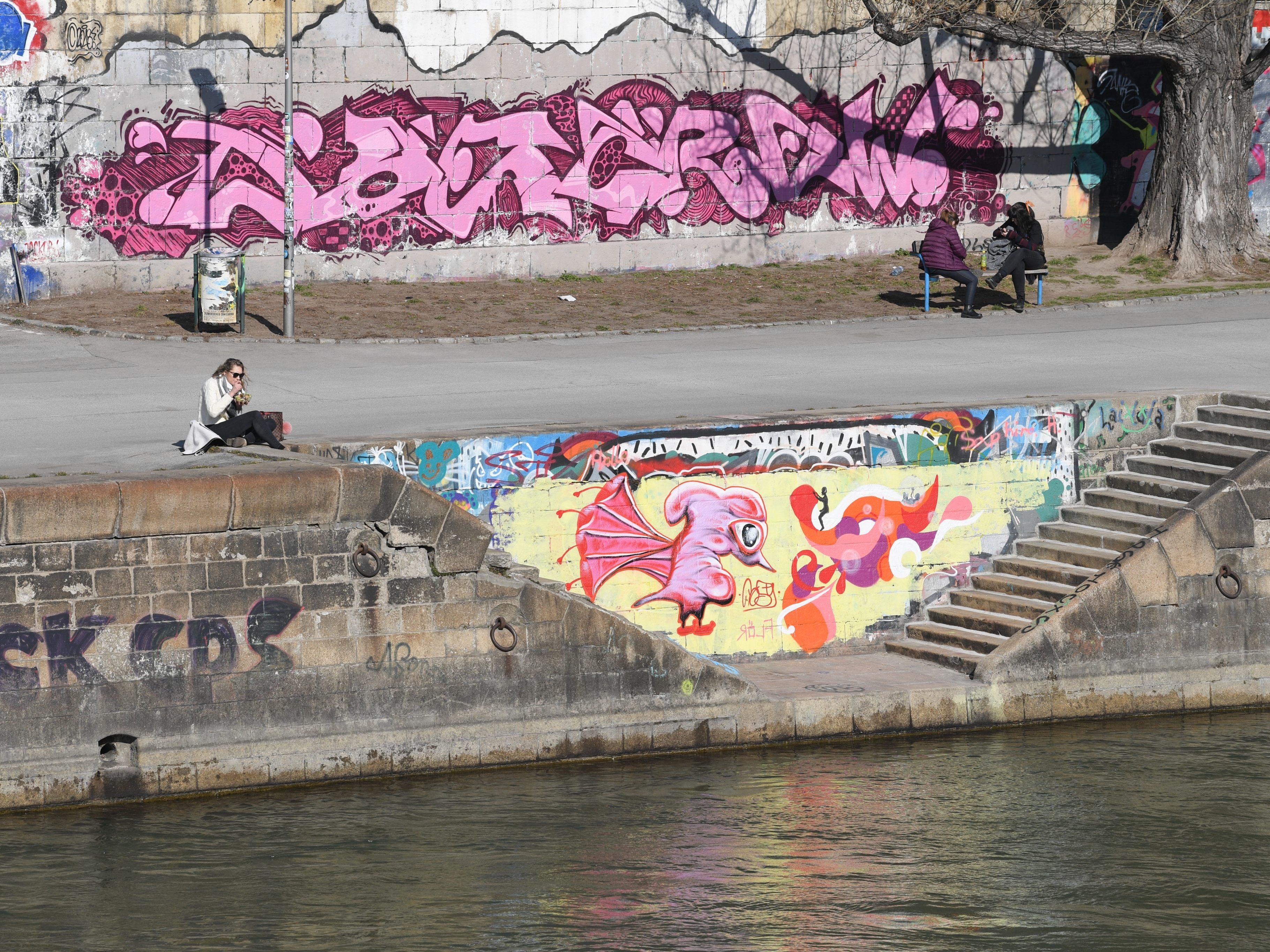 Warum die Frau in den Donaukanal gefallen ist, ist noch unklar.