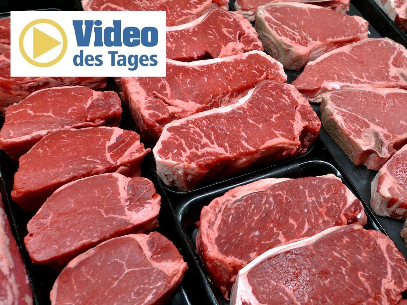 Das Steak aus dem 3D-Drucker soll das Fleisch der Zukunft sein.