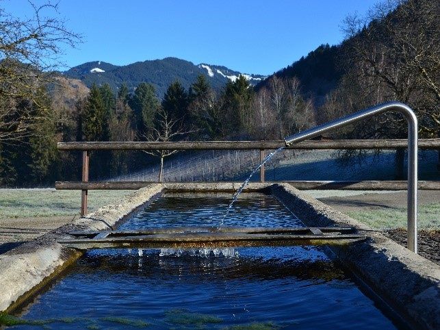 Trinkwasserversorgung Zwischenwasser
