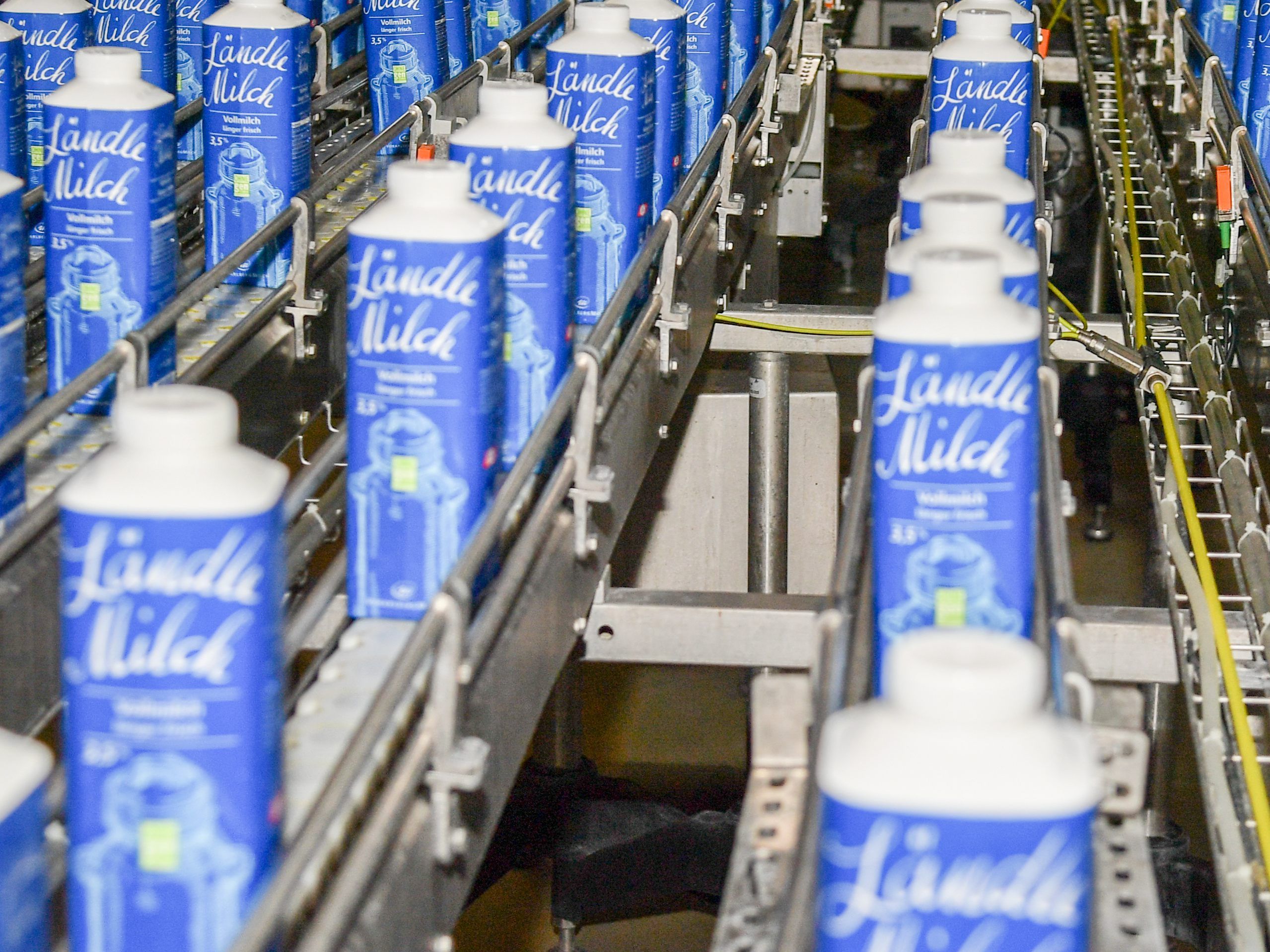 Vorarlberg Milch: "Sind in einer schwierigen Situation" Vorarlberg Milch: "Sind in einer schwierigen Situation"