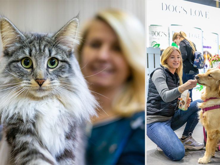 Edle Katzen, schöne Hunde und viele Vierbeiner mehr gab es bei der Haustiermesse zu bestaunen