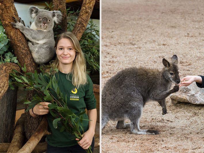 Aktiv für Australien: Tierpflegerin Kiva Cheyenne Prinsloo und Tierpflegerin Magdalena Höllerer (r.) gehören zu den Unterstützern der Aktion im Tiergarten Schönbrunn