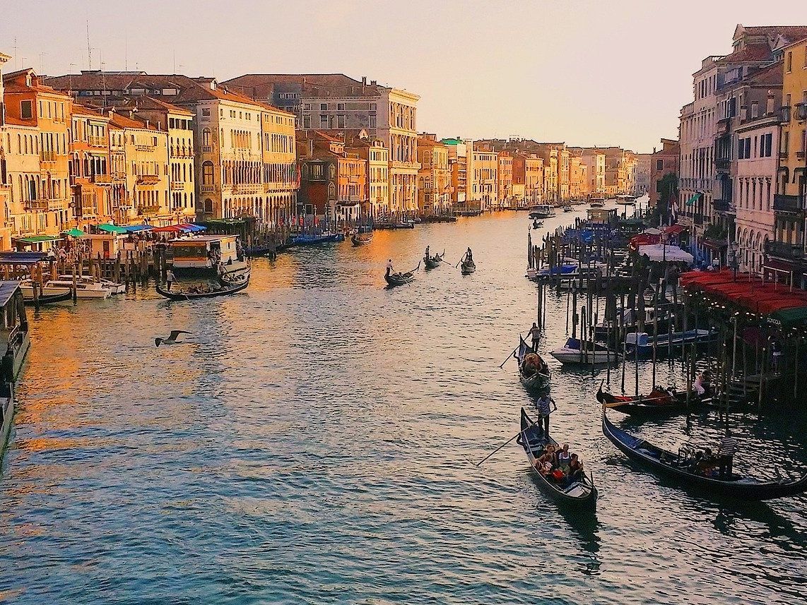 Die Wasserqualität in Venedig hat sich stark verbessert.