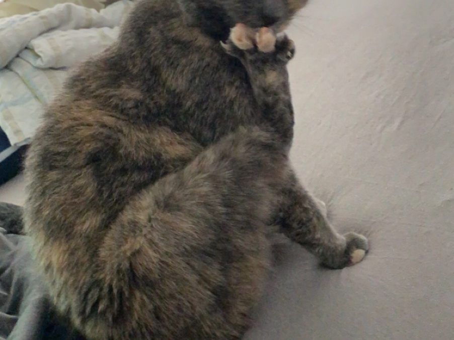 Leila Katze
