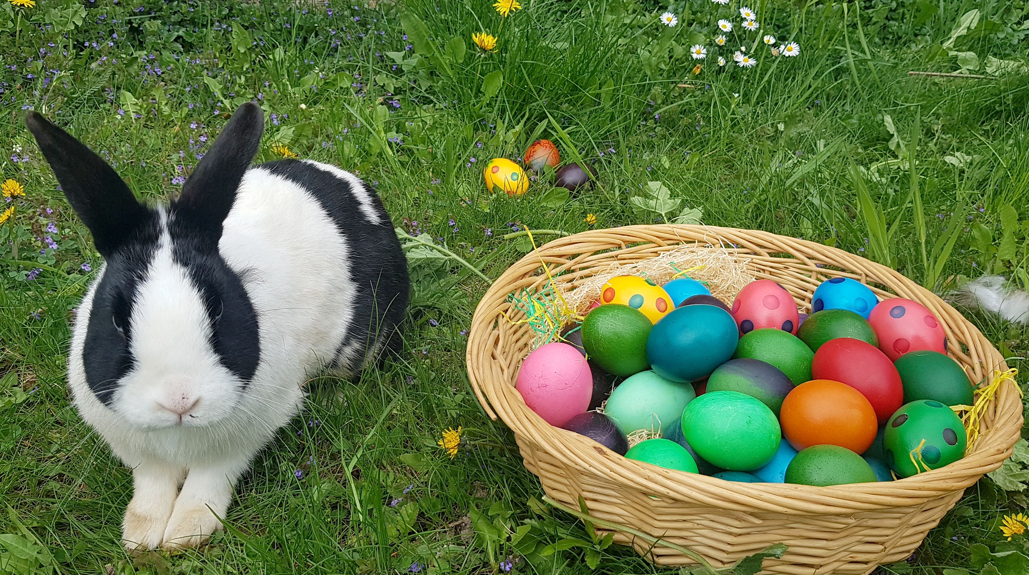 So Darf In Europa Ostern Wahrend Der Corona Krise Gefeiert Werden Coronavirus Wien Vienna At