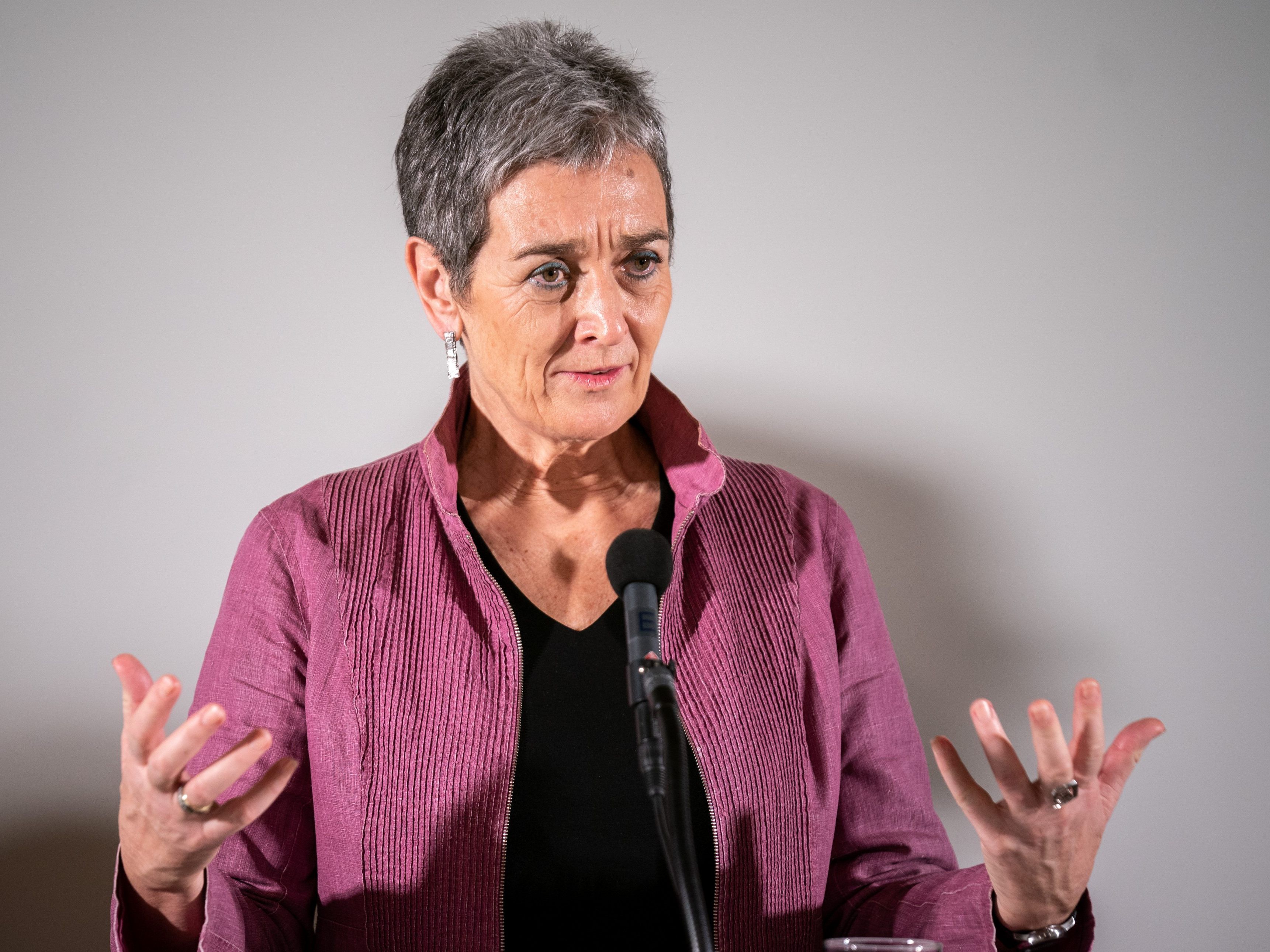 Ulrike Lunacek (Grüne) hat sich bei einem Unfall mit dem Fahrrad verletzt.