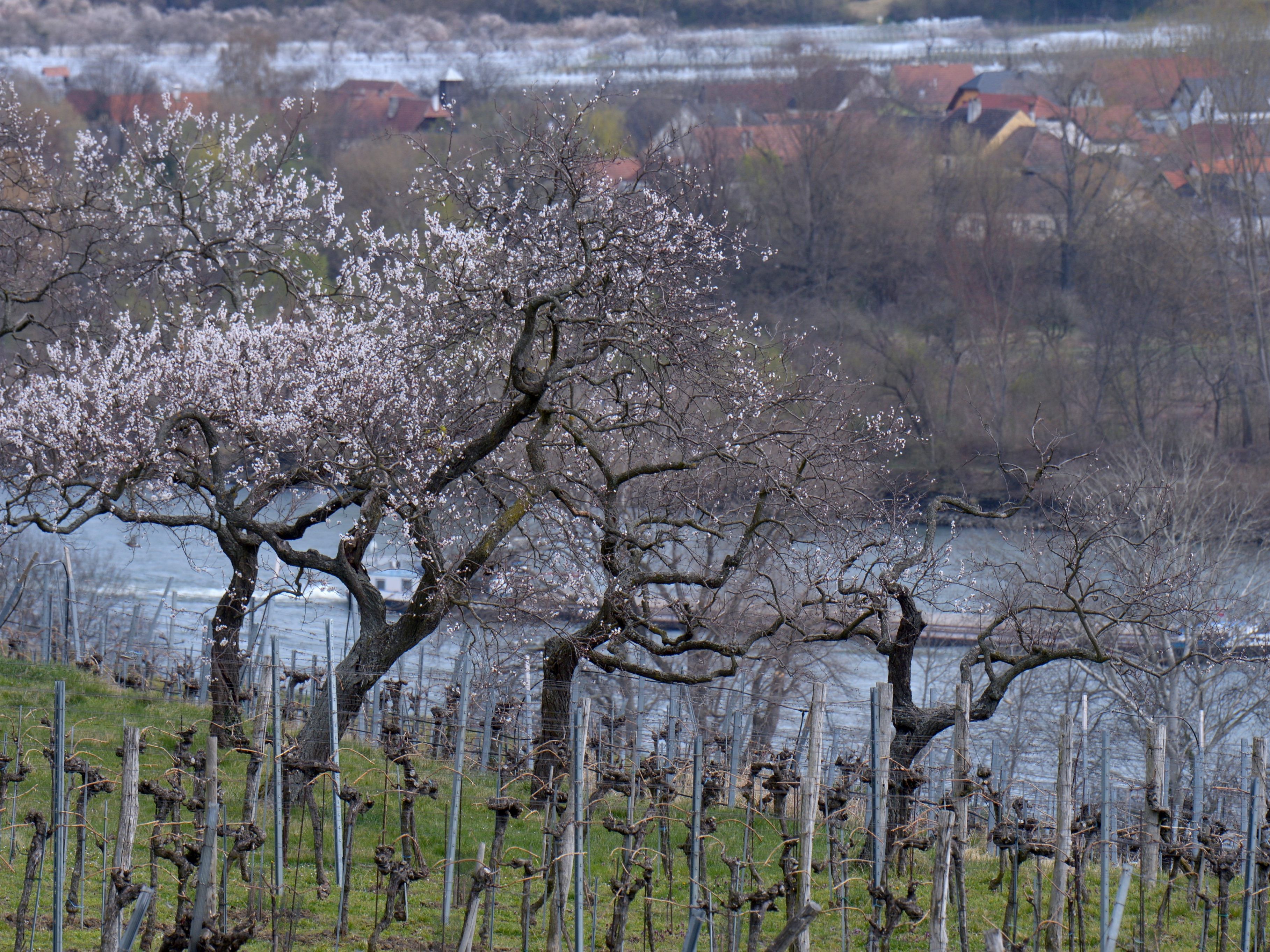 In den kommenden Tagen wird es kühler.