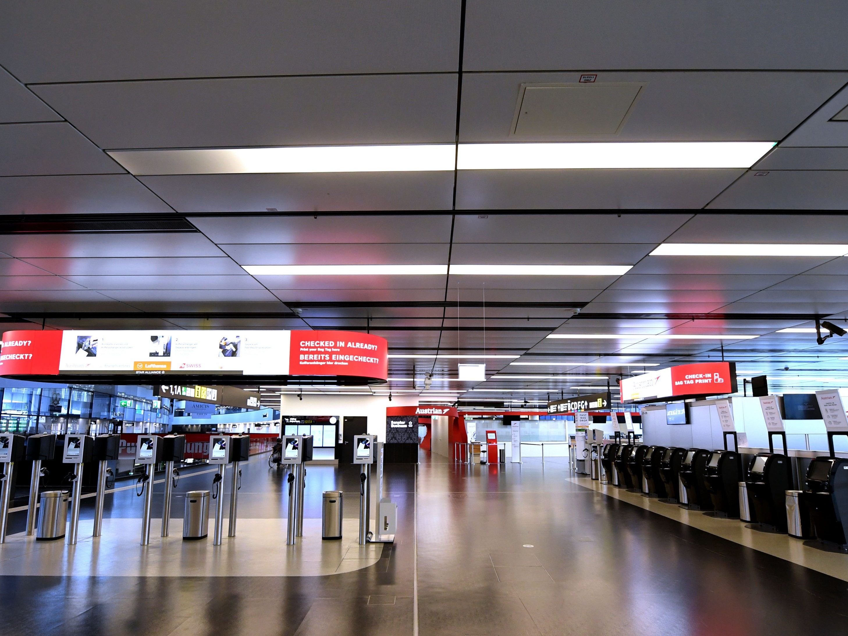 Auch diese Woche landen weitere Flüge in Wien. Auch diese Woche landen weitere Flüge in Wien.