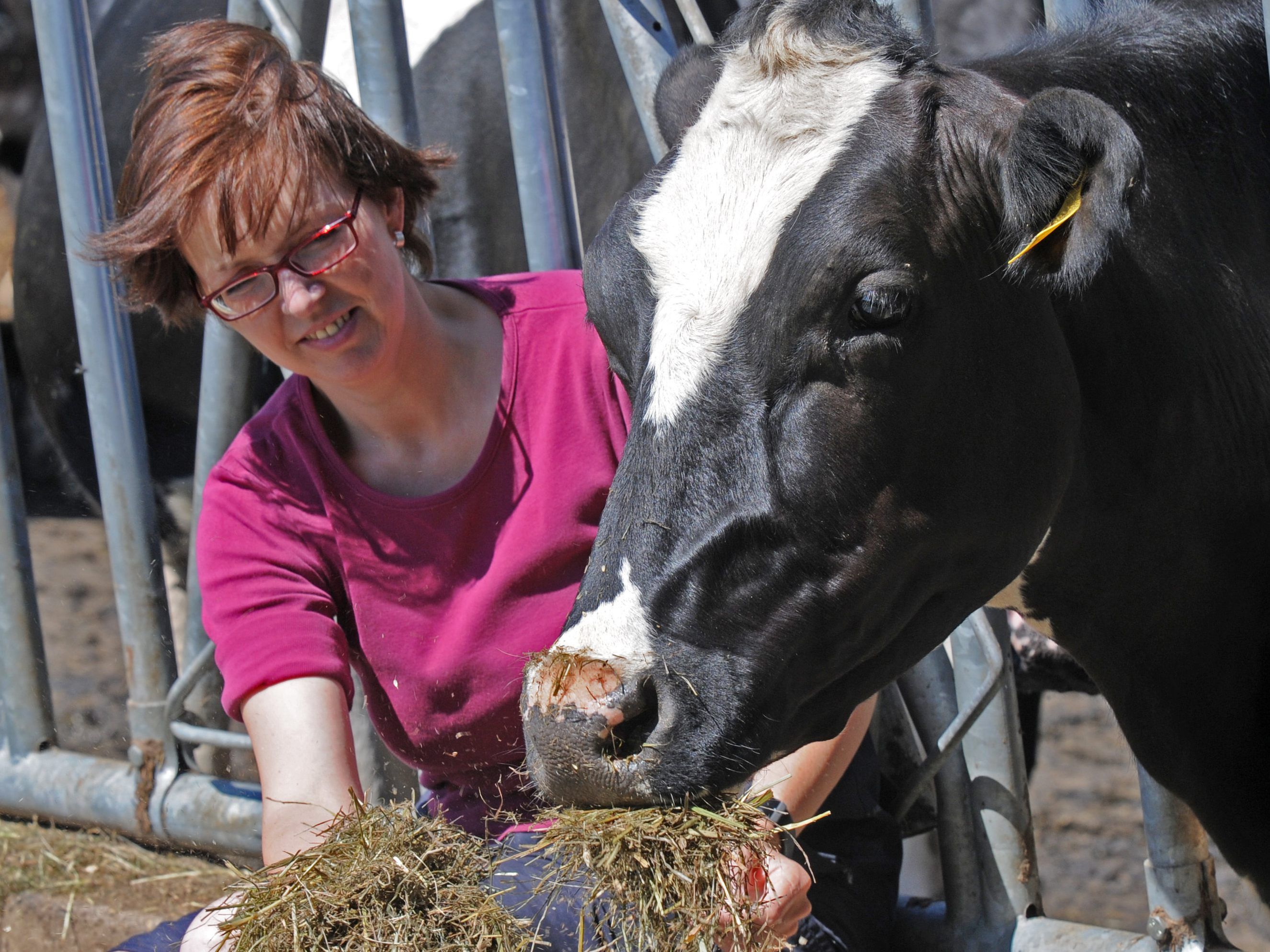 Landwirtin sein dagegen sehr... Landwirtin sein dagegen sehr...