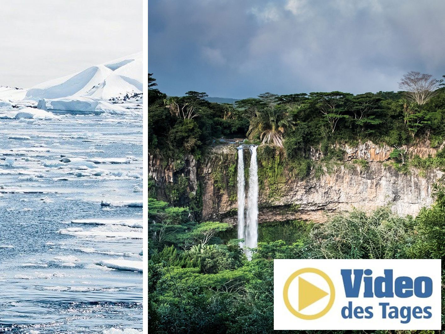 Vor rund 90 Millionen Jahren soll die Antarktis wie ein Regenwald ausgesehen haben.