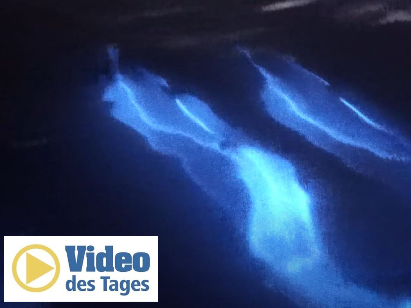 Zwei Delfine schwimmen neben einem Boot und hinterlassen ein neonfarbenes Licht.