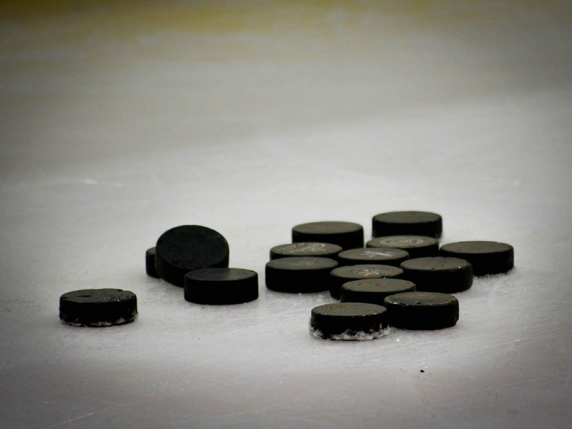 Nun ist es an den Bratislava Capitals, die Vorlagen der Liga zu erfüllen. Nun ist es an den Bratislava Capitals, die Vorlagen der Liga zu erfüllen.