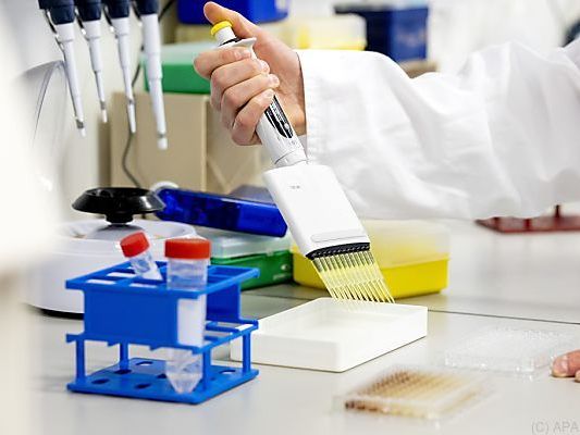 Die Zahlen basieren auf Schätzungen