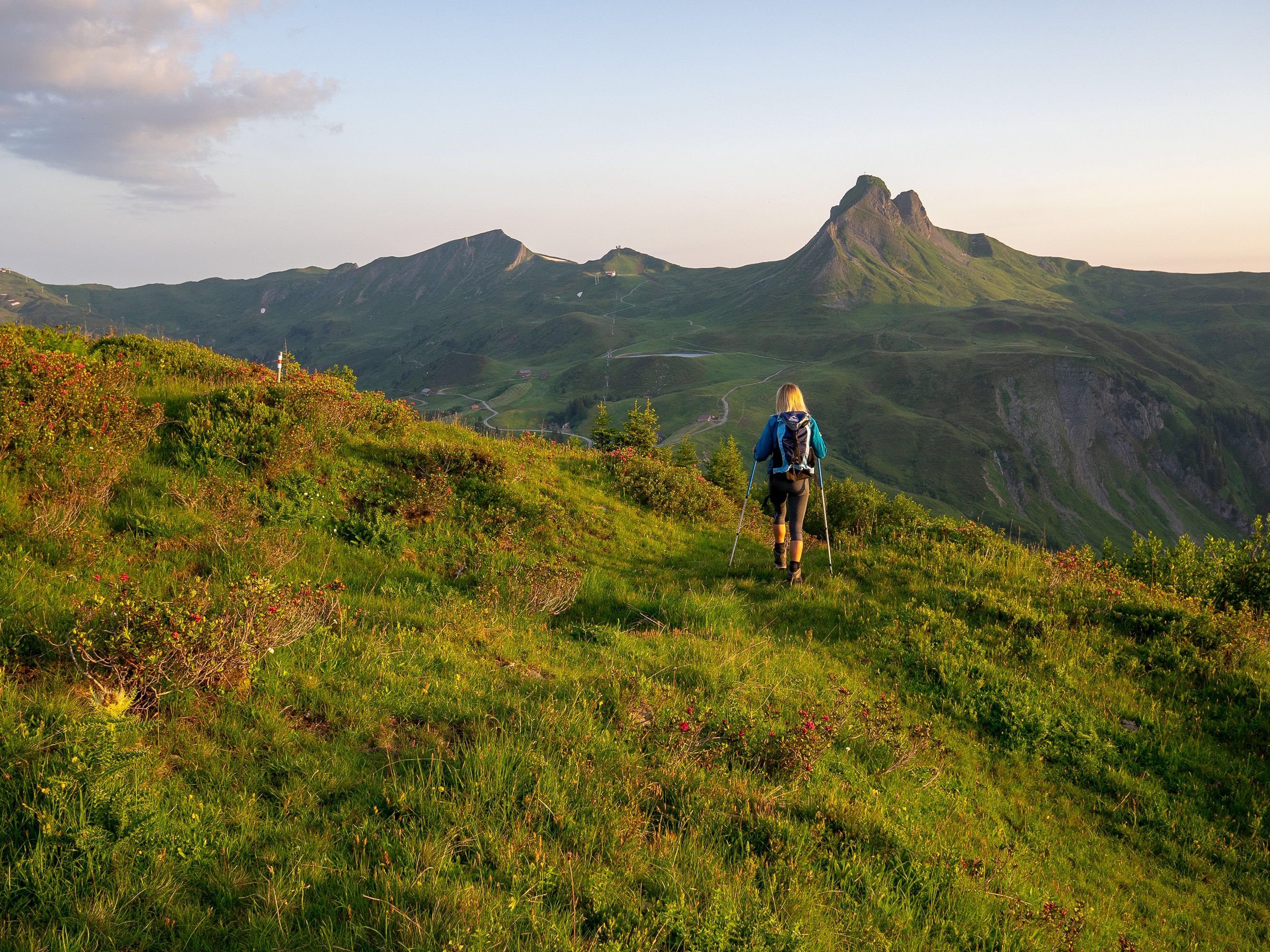 den Bergsommer in Damüls-Mellau im Bregenzerwald