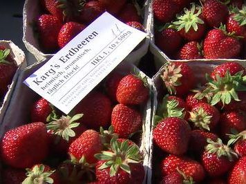 Jeden Tag pflücken die Erntehelfer rund drei Tonnen der süßen Früchte. Jeden Tag pflücken die Erntehelfer rund drei Tonnen der süßen Früchte.