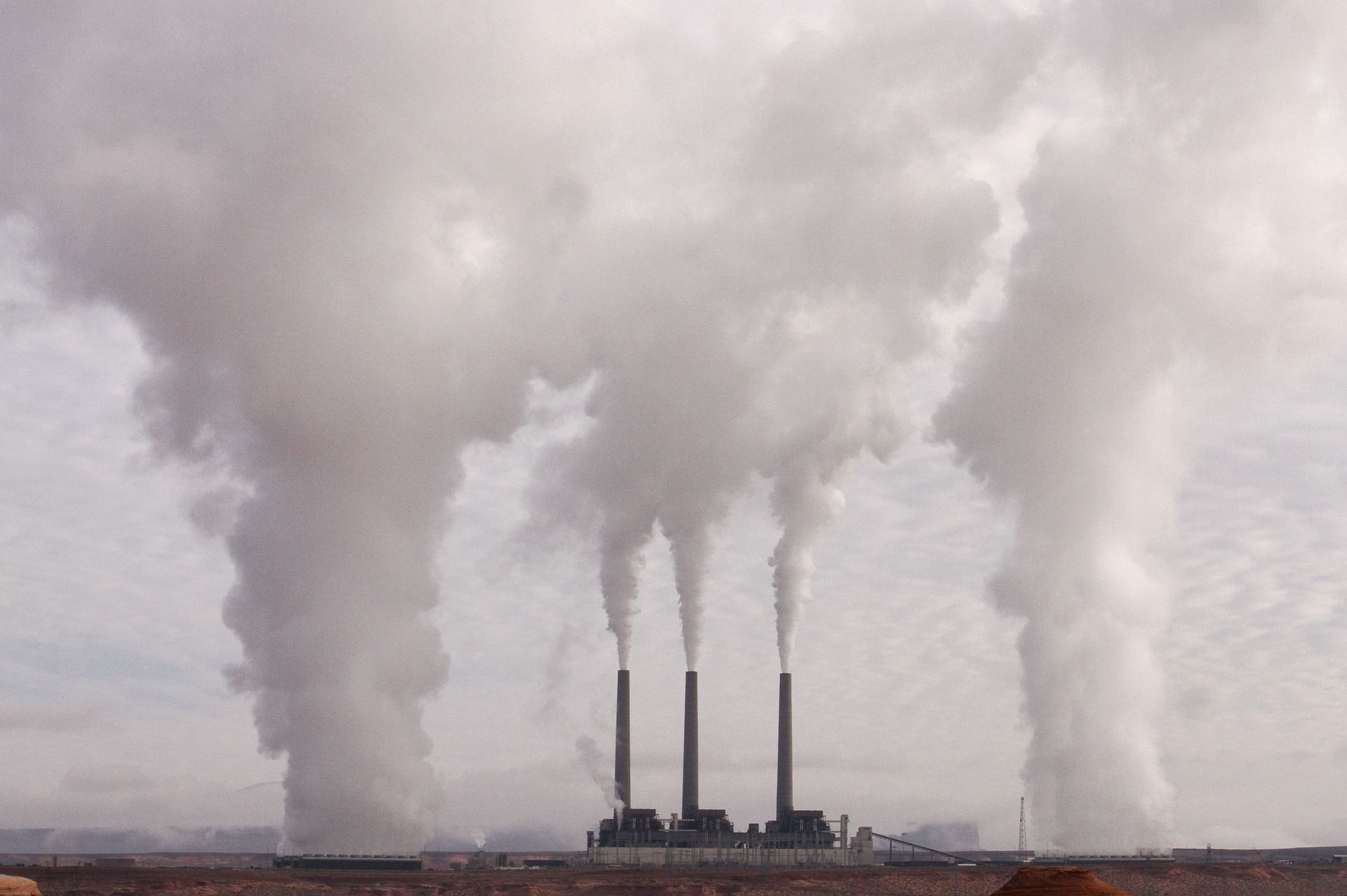 Co2 Emissionen 2019 In Der Eu Zuruckgegangen In Osterreich Angestiegen Osterreich Vienna At