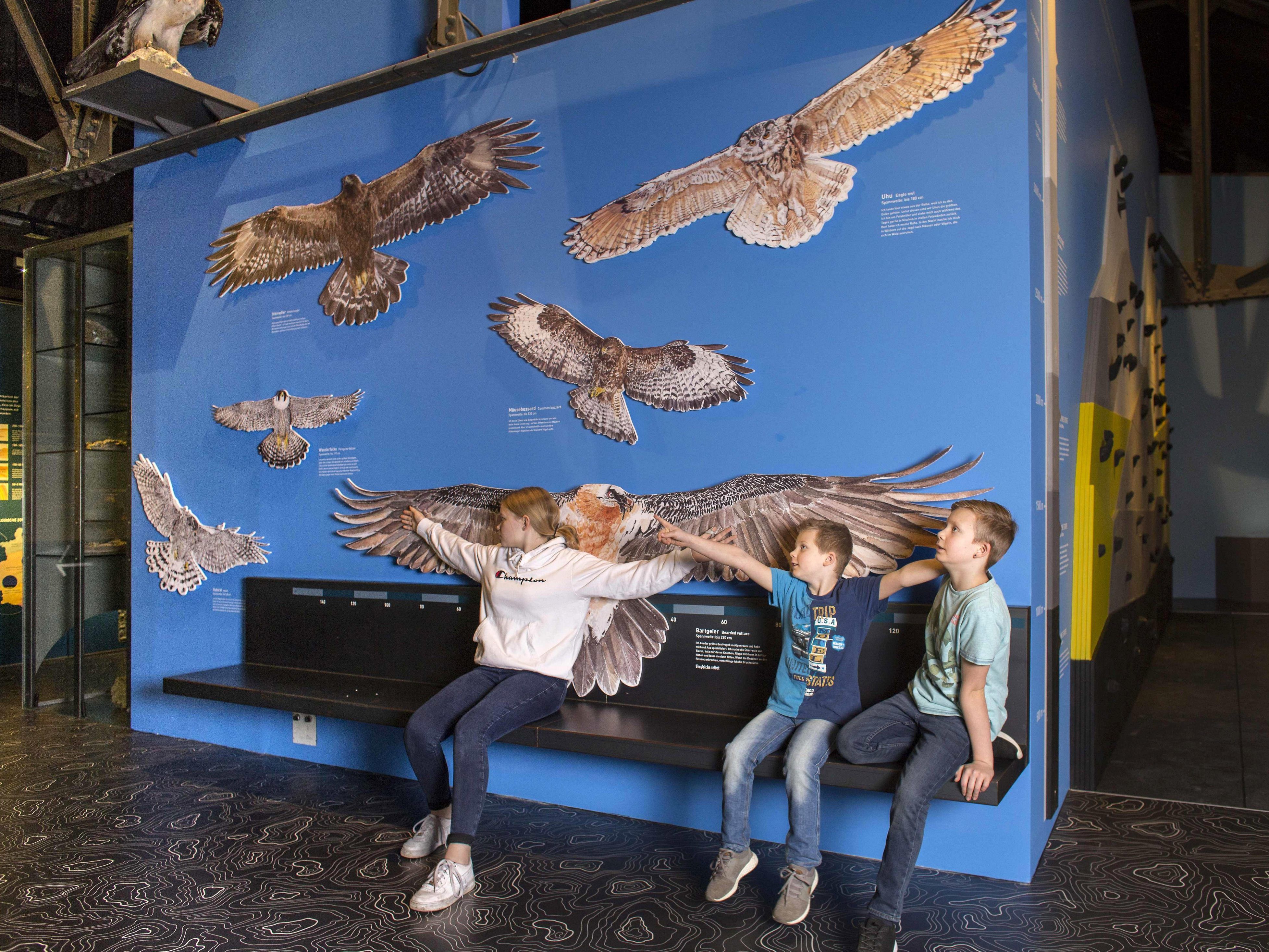 Nicht nur die Kinder freuen sich, dass sie wieder in der inatura auf Entdeckungsreise gehen können. Nicht nur die Kinder freuen sich, dass sie wieder in der inatura auf Entdeckungsreise gehen können.