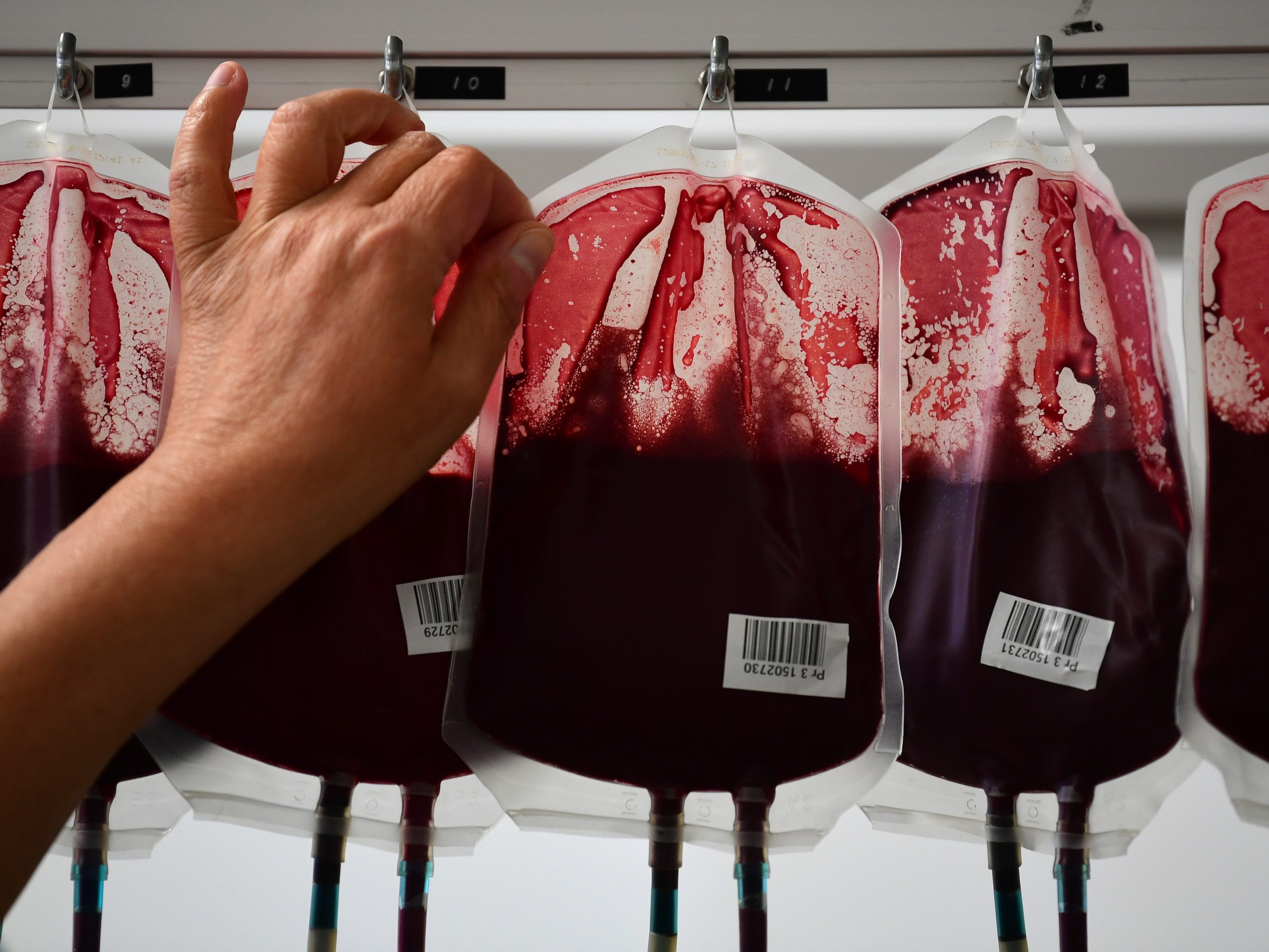 Das Rote Kreuz will mehr Menschen zum Blutspenden bewegen. Das Rote Kreuz will mehr Menschen zum Blutspenden bewegen.