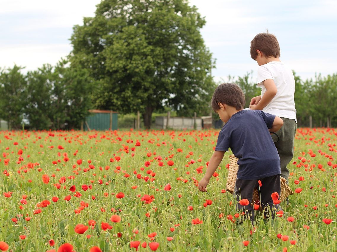 Kinder-Ferienlager werden im Sommer erlaubt. Kinder-Ferienlager werden im Sommer erlaubt.