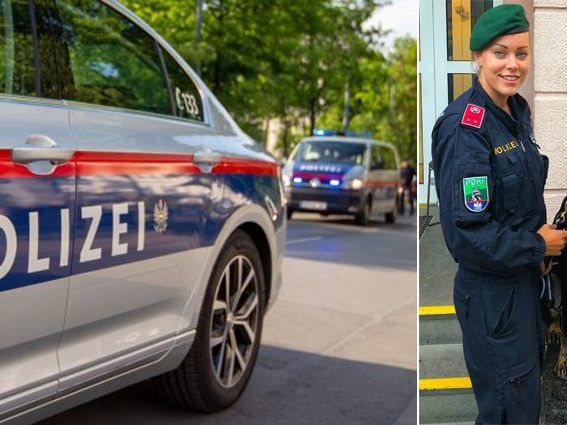 Der Polizeihund "Domina" erschnüffelte die mutmaßlichen Einbrecher im Gebüsch. Der Polizeihund "Domina" erschnüffelte die mutmaßlichen Einbrecher im Gebüsch.