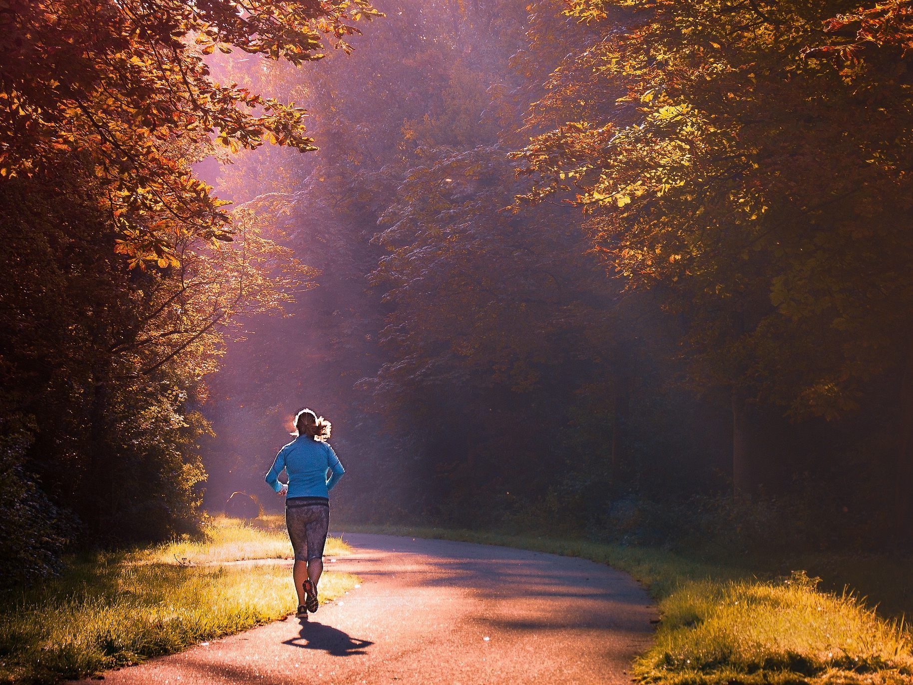 Laufen für den guten Zweck und für mehr Bäume in der Stadt kann man beim 1. Wiener Tree-Athlon