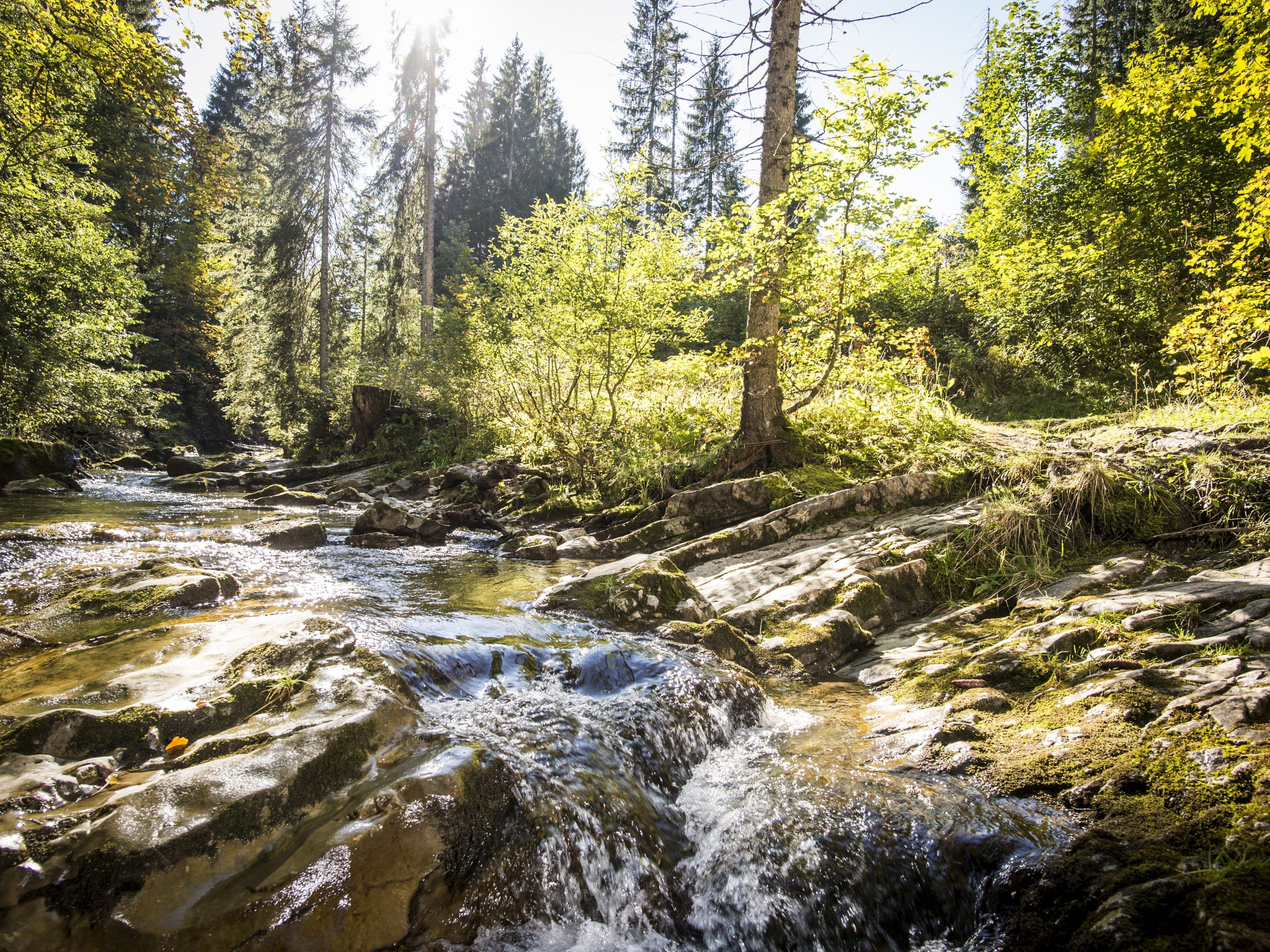 An den Schwarzwasserbach kommt Diana Eckhoff, um sich zu entspannen. © Dominik Berchtold / Kleinwalsertal Tourismus