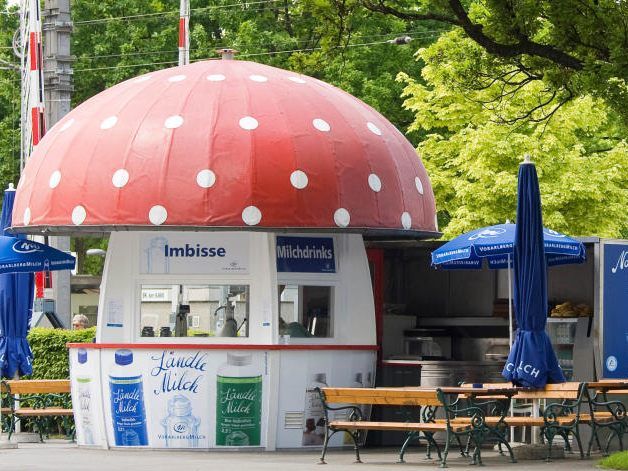 Beim "Milchpilz" in Bregenz
