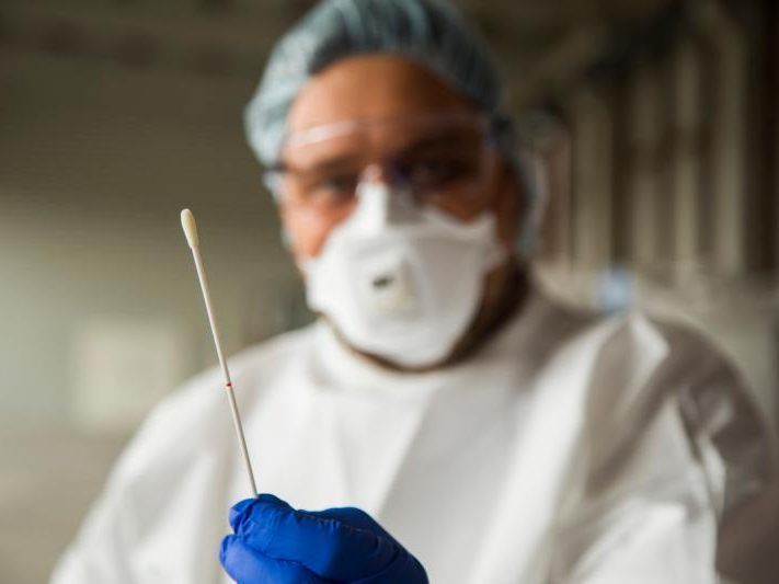 Derzeit 60 bis 220 Anrufe täglich bei Gesundheitshotline 1450