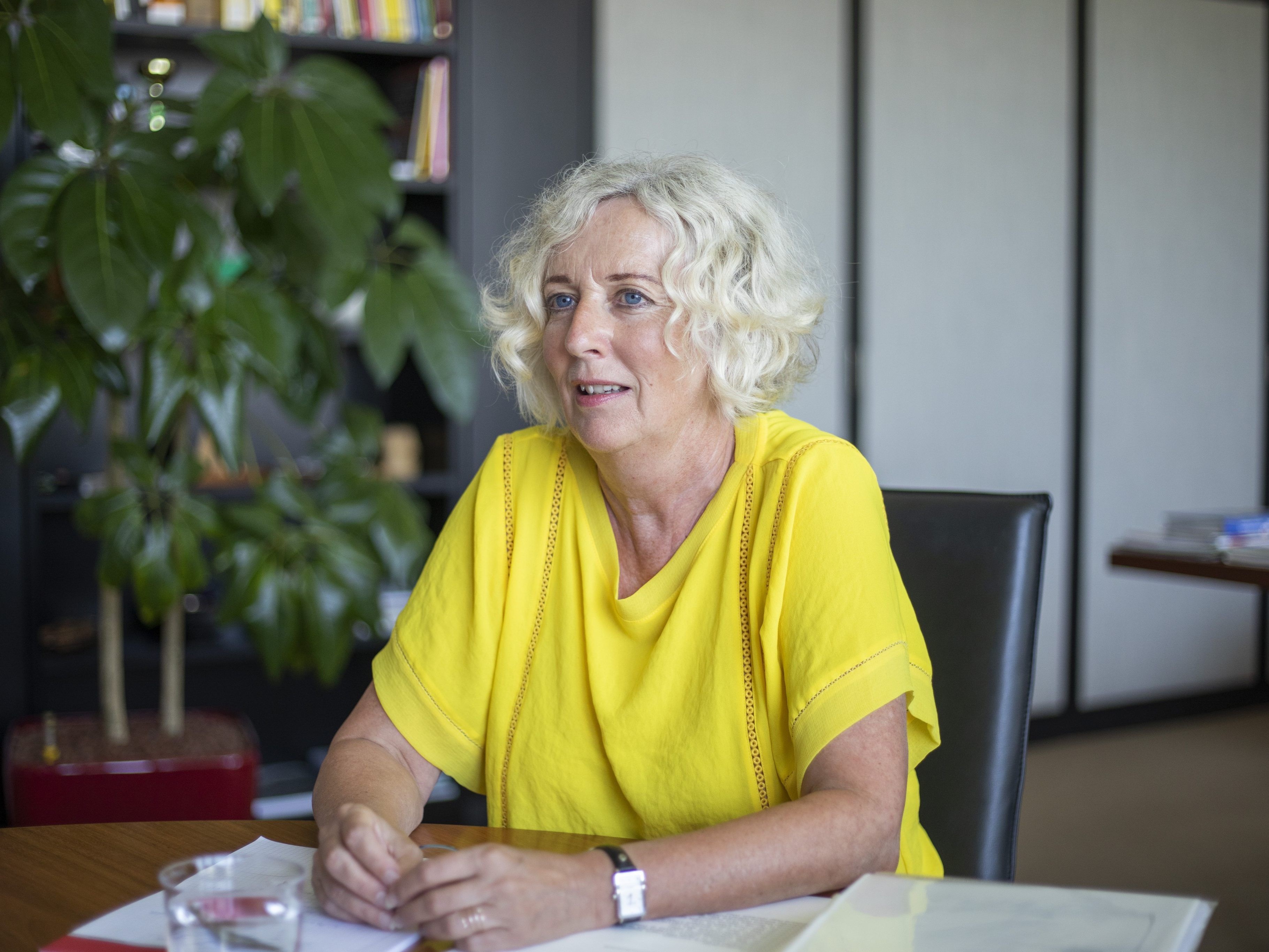 Wiesflecker (Grüne) übernimmt den Vorsitz. Wiesflecker (Grüne) übernimmt den Vorsitz.